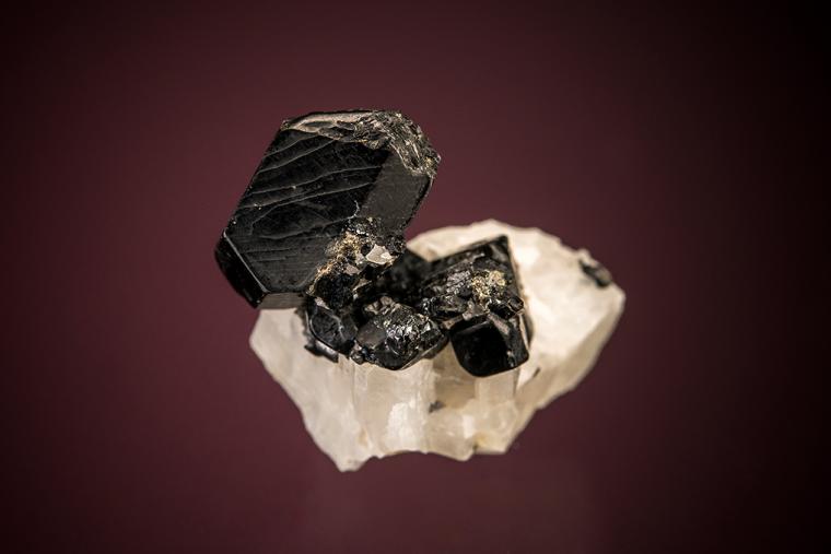 PARGASITE (type locality) (repaired)